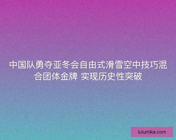 中国队勇夺亚冬会自由式滑雪空中技巧混合团体金牌 实现历史性突破